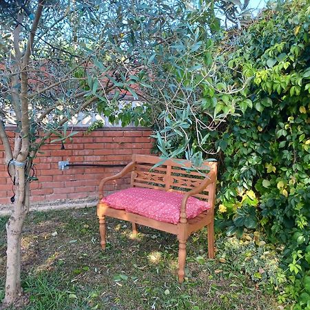 Piscina De Sal Barbacoa Wifi, Parking Gratis, 3 Min Pga Casa El Roble Βίλα Χιρόνα Εξωτερικό φωτογραφία