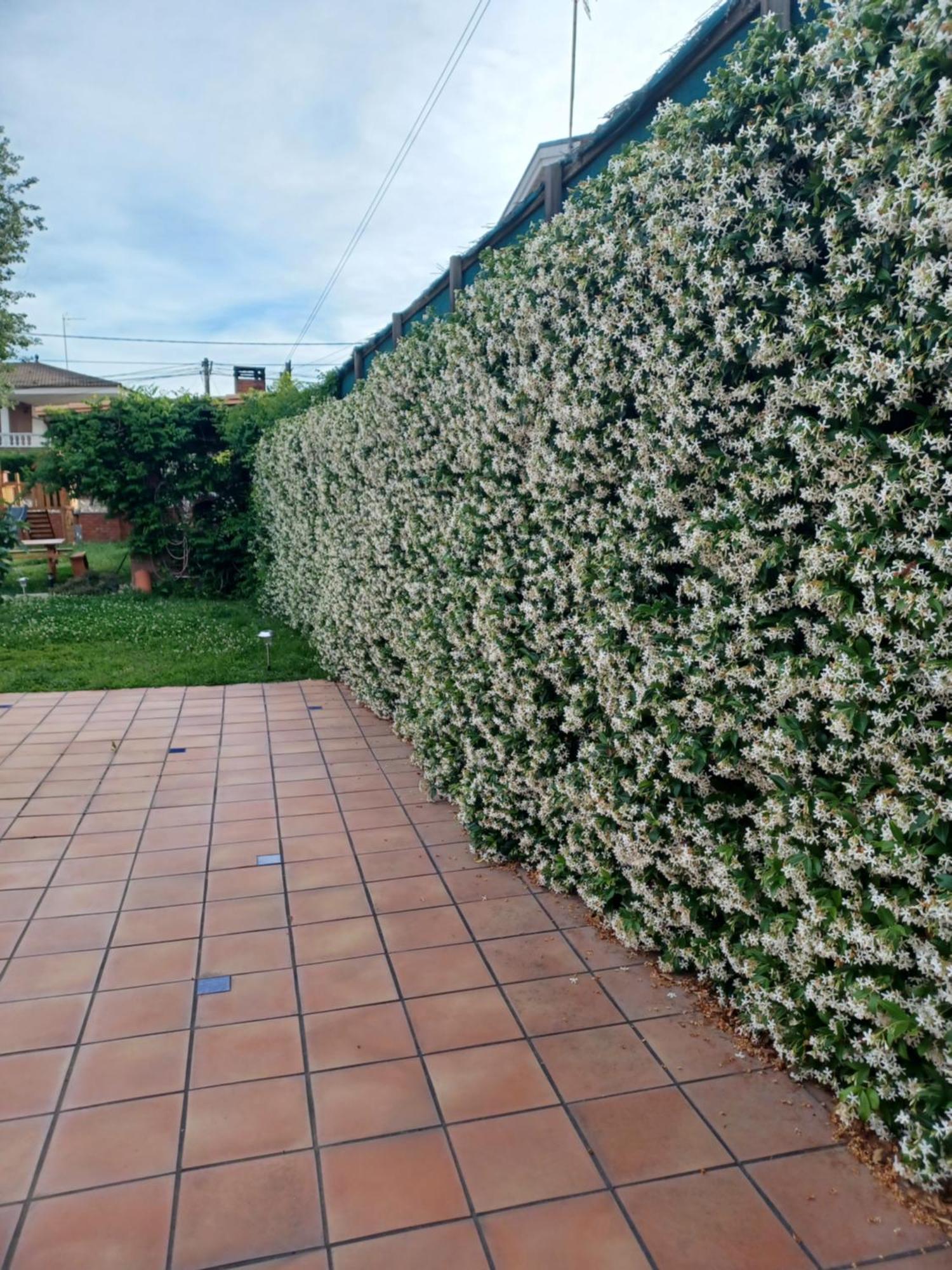 Piscina De Sal Barbacoa Wifi, Parking Gratis, 3 Min Pga Casa El Roble Βίλα Χιρόνα Εξωτερικό φωτογραφία